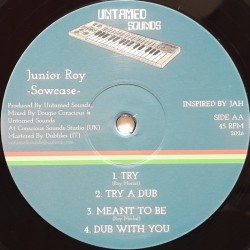 Junior Roy - Try 12"