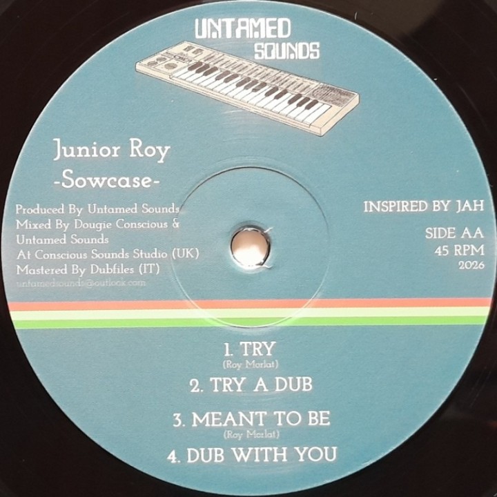 Junior Roy - Try 12"