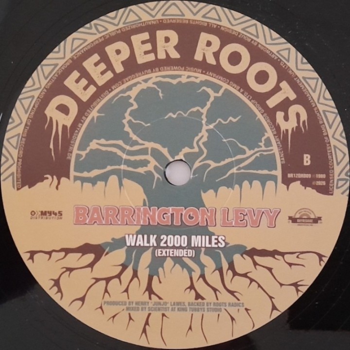 Barrington Levy - Shaolin Temple 12"
